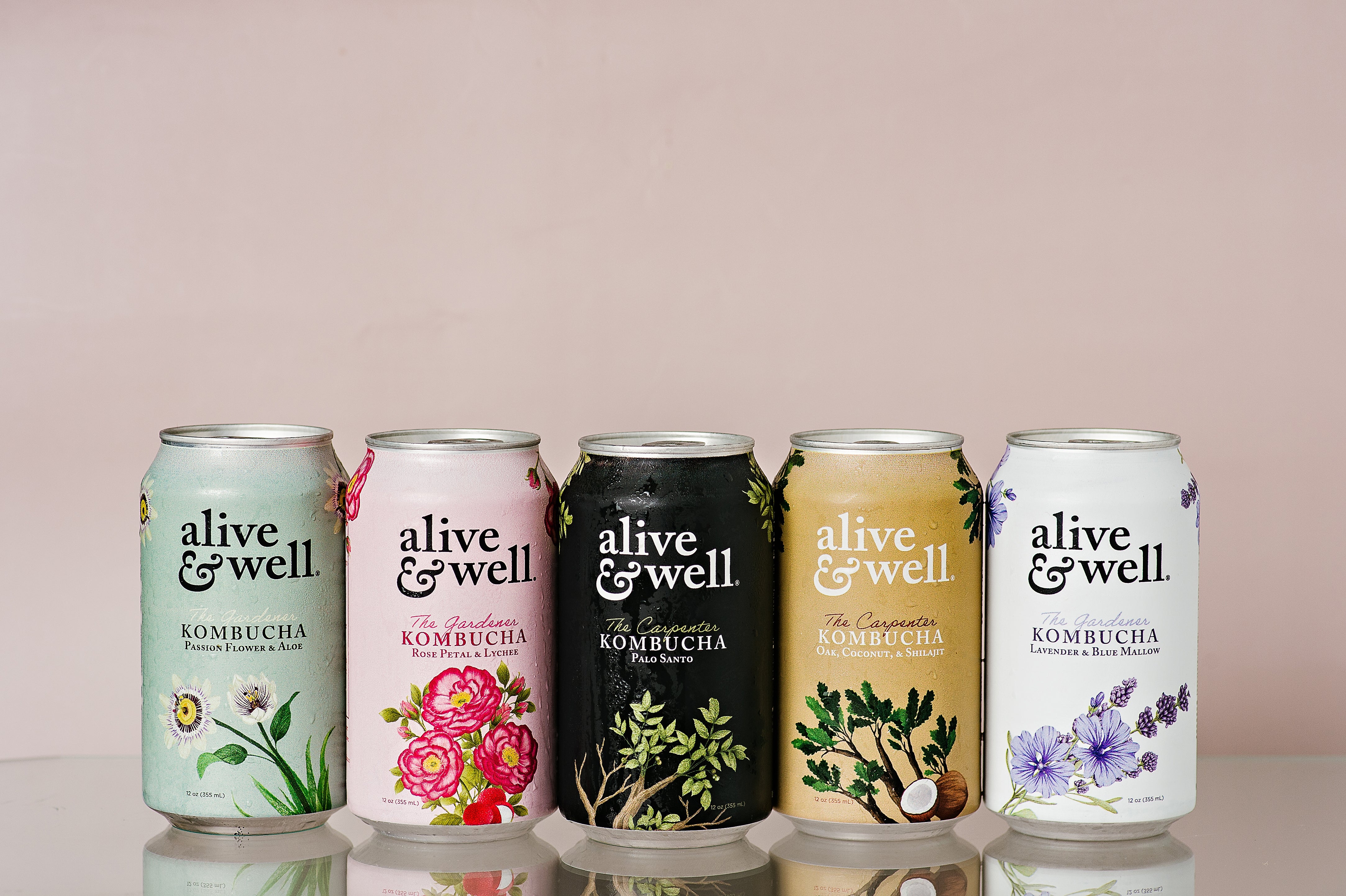10 Pack Sampler Alive & Well Kombucha