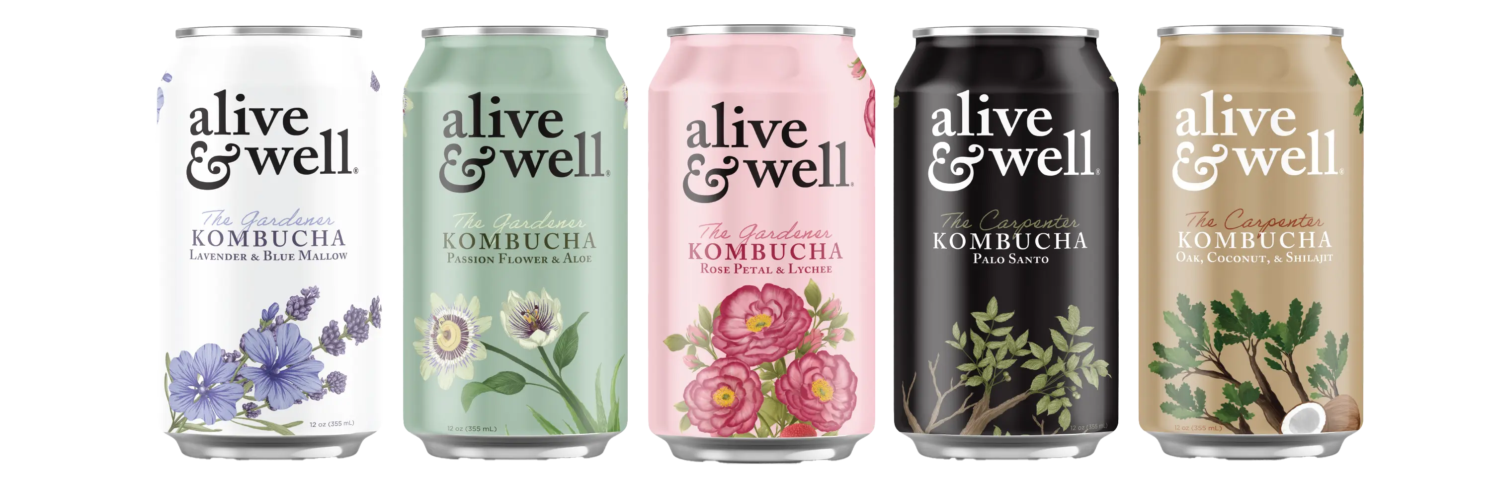 Alive & Well Kombucha 10 Pack Sampler | Mixed Flavors