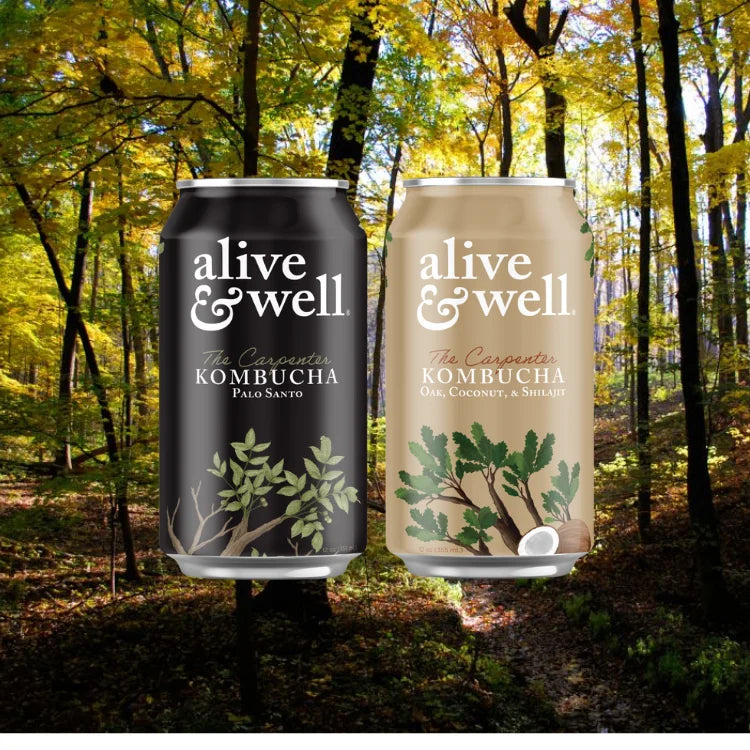 Carpenter Line 6pk Mixed Case | Smooth Wood‑Infused Kombucha