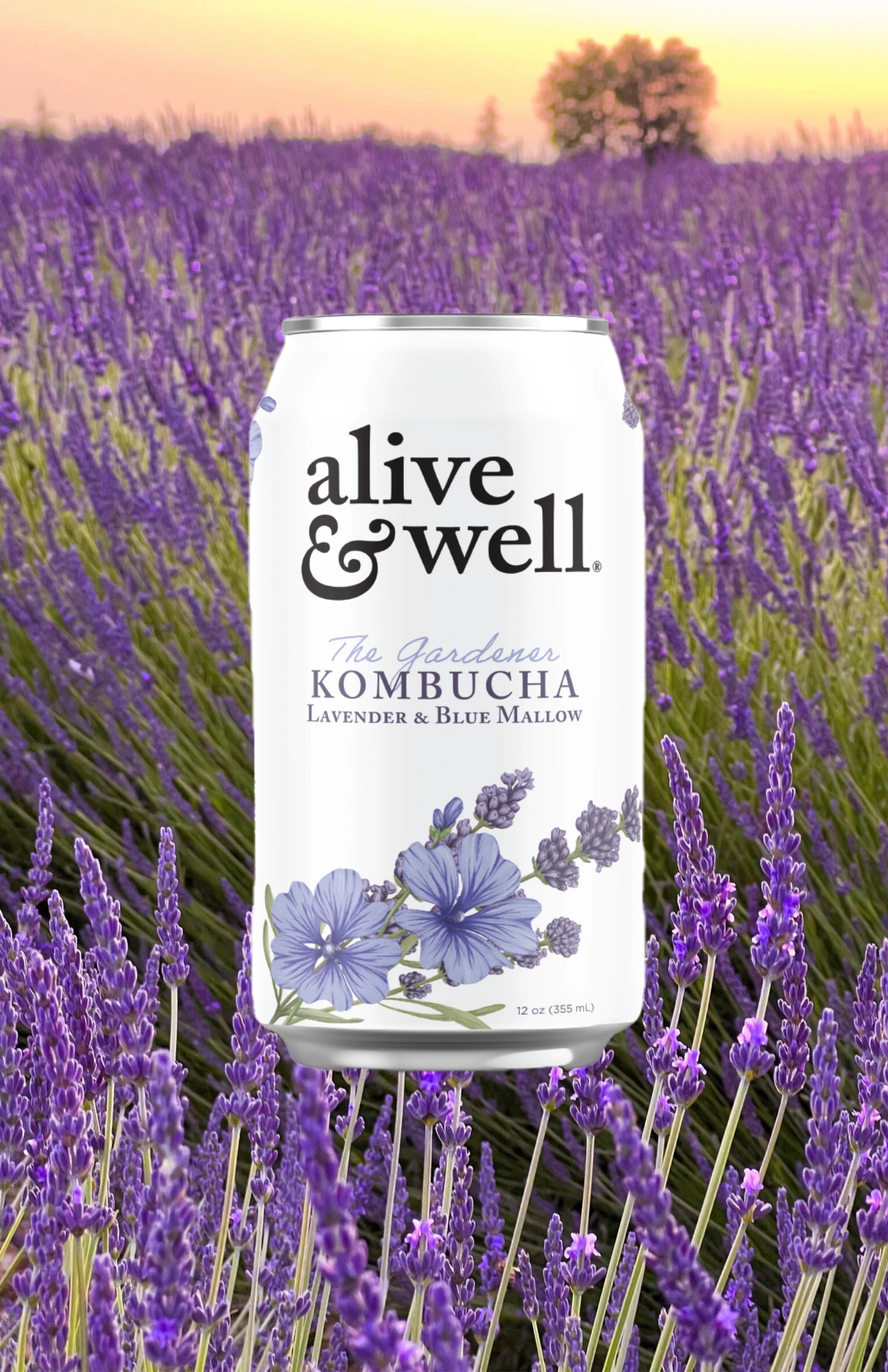 Lavender & Blue Mallow Kombucha
