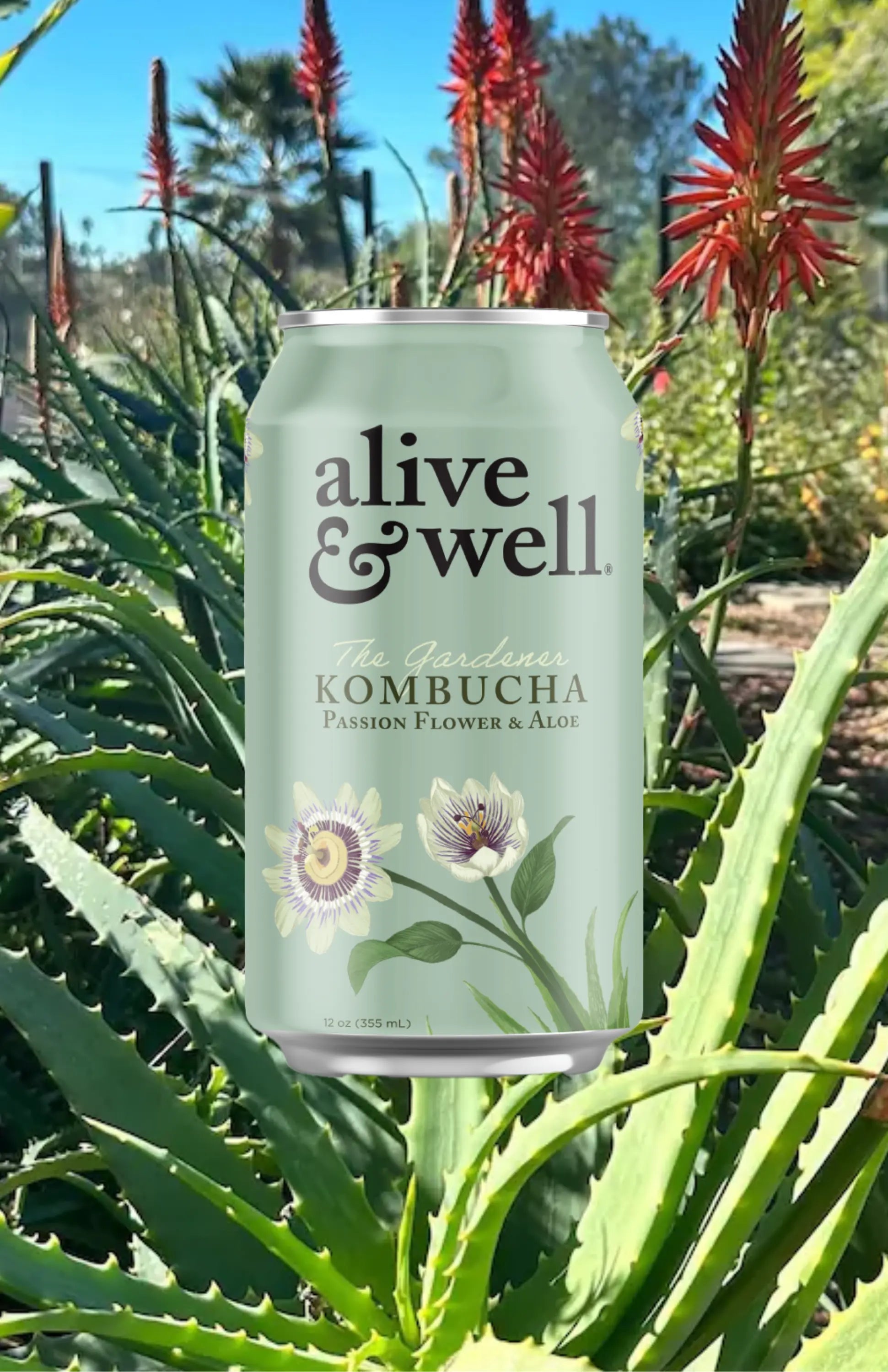 Passionflower & Aloe Kombucha
