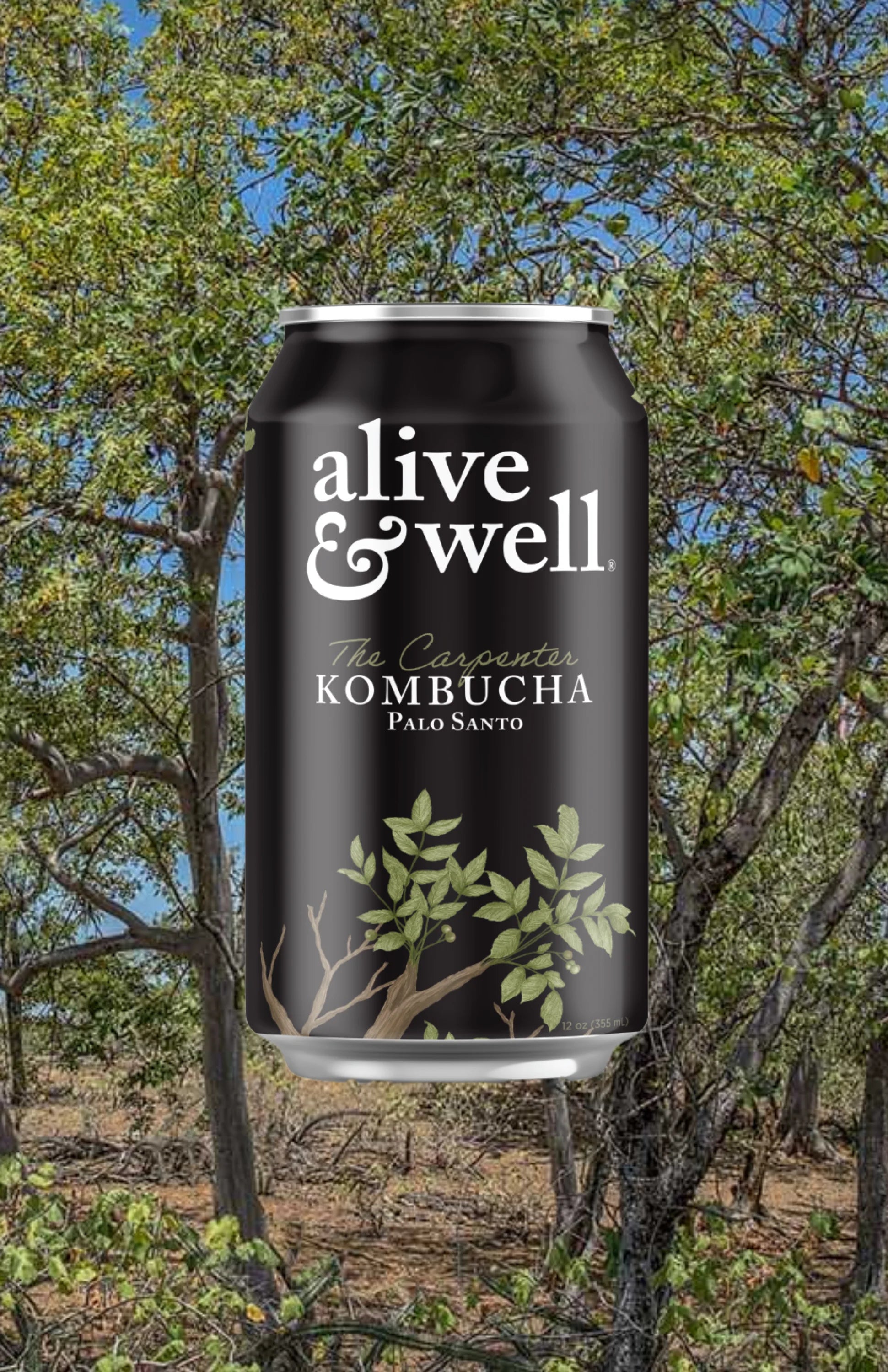 Palo Santo Kombucha

